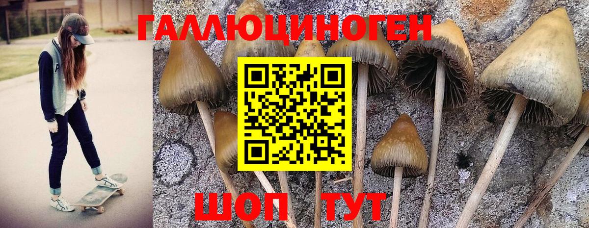 Белорецк  дарнет шоп  Галлюциногенные грибы мухоморы  Вход с VPN  Псилоцибиновые грибы мицелий 